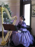 Carnegie Free Library Harp 2012