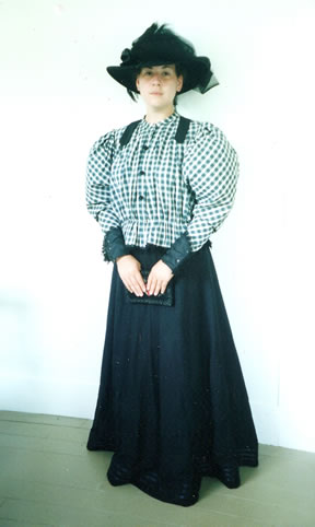 1890's Bodice and Skirt